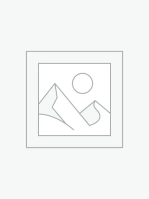 Homzy Decor Laptop Stand